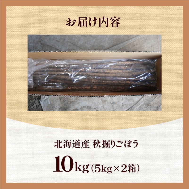 【先行予約】2026年秋 北海道十勝清水町産 秋堀りごぼう 10kg 土付き 手作業収穫 食物繊維豊富 新鮮 野菜 秋の味覚_S045-0004
