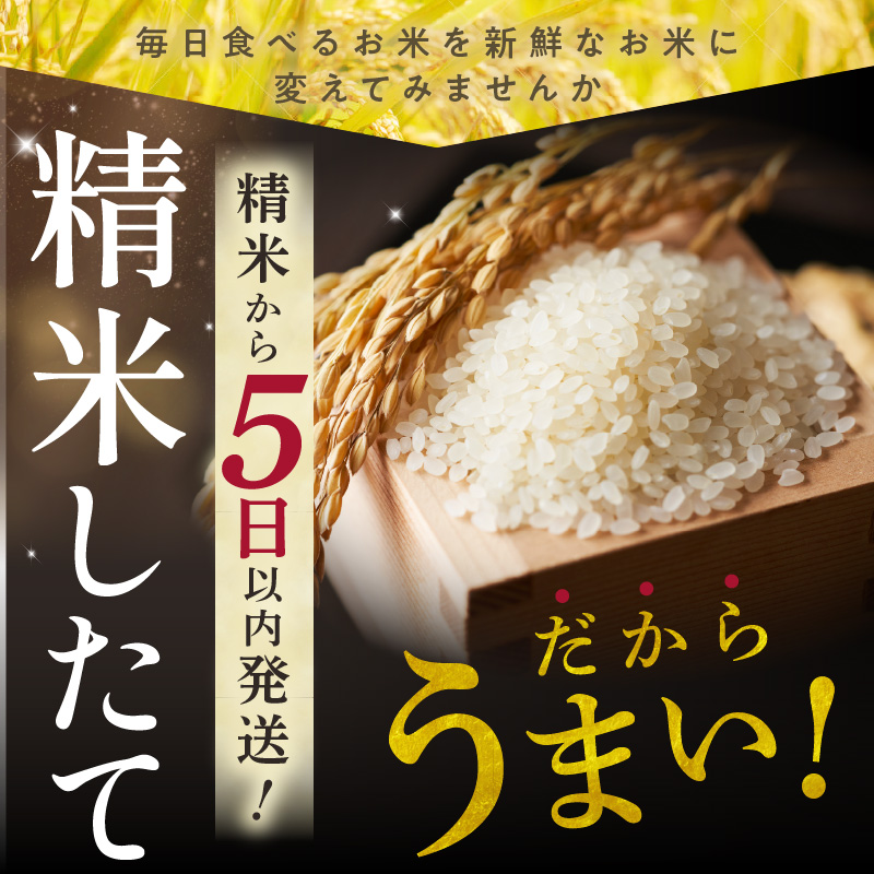 【隔月6回定期便】精米したてを毎月お届け！北海道産 ゆめぴりか 5kg 【精米 白米 計15kg いつもの食卓に 新鮮なお米をお届け】 _S036-0022