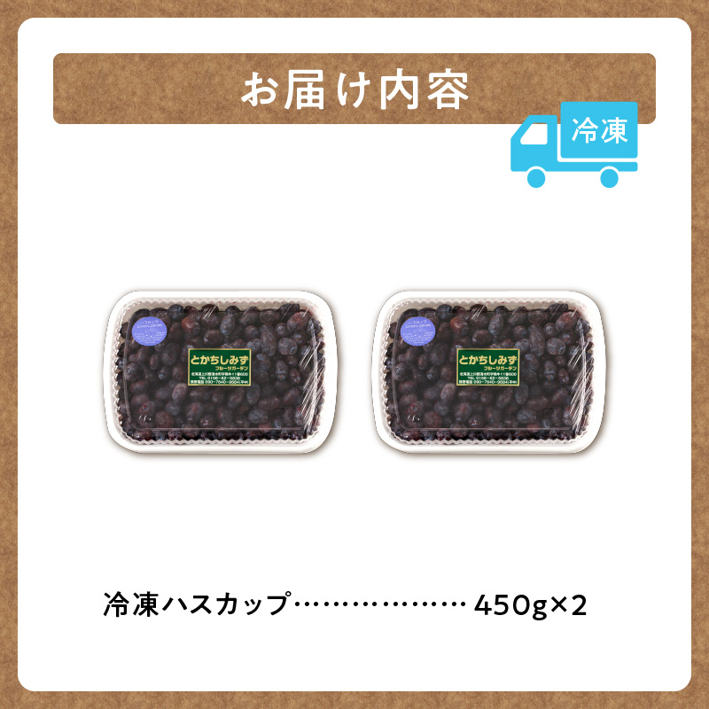 【2025年発送先行予約！】とかちしみず フルーツガーデン の ハスカップ 900g 【 450g × 2 生 果物 ハスカップ 冷凍ハスカップ フルーツ ジャム 甘酸っぱい 冷凍 お取り寄せ 北海道 清水町  】