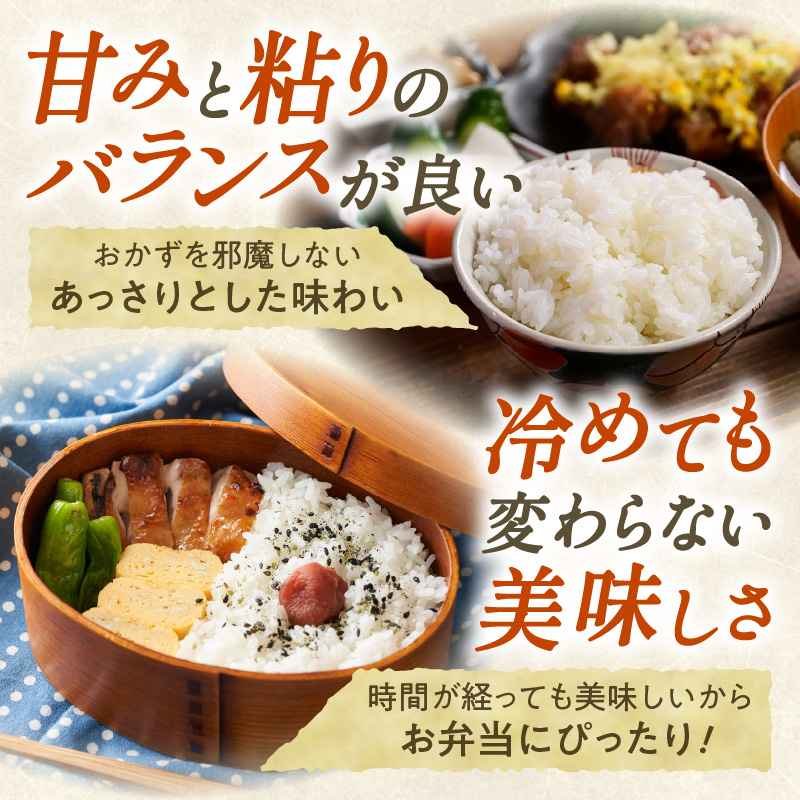 【12回定期便】精米したてを毎月お届け！北海道産 ななつぼし 5kg 【精米 白米 計60kg いつもの食卓に 新鮮なお米をお届け 】_S036-0013