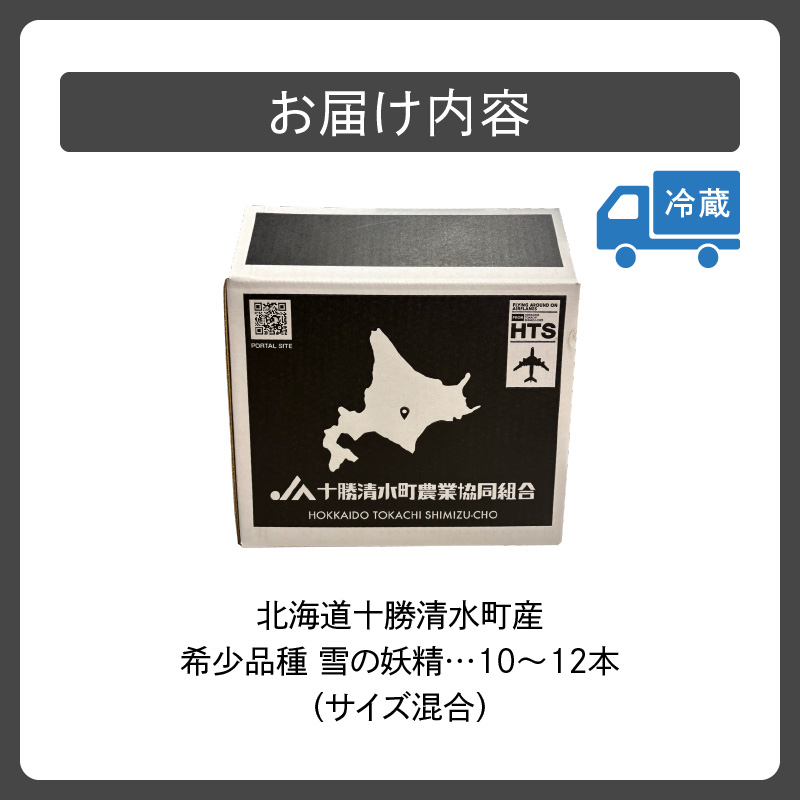 【2026年8月～発送開始！】北海道十勝清水町産 希少品種！ 白いとうもろこし 雪の妖精 サイズ混合 10～12本 【北海道産 2026年 とうもろこし とうきび とうきび コーン 白いとうもろこし 産直 産地直送 清水町 北海道】 