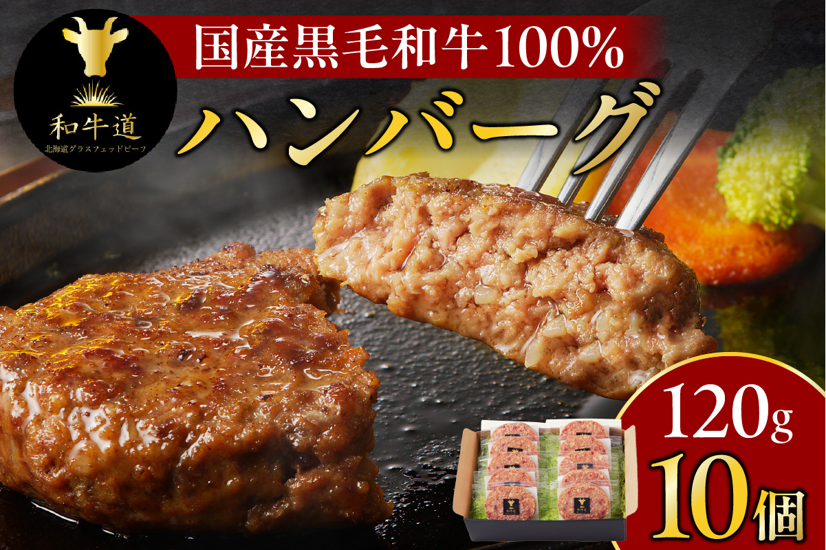 ブランド和牛 「 十勝姫 」の 和牛道 ハンバーグ 120g × 10食 セット 【 牛 牛肉 黒毛和牛 生ハンバーグ 個包装 小分け グラスフェッドビーフ 国産 簡単調理 惣菜 北海道産 冷凍 お取り寄せ 北海道 清水町   】