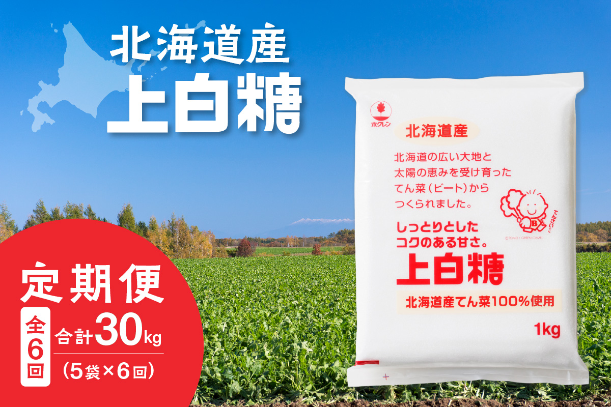 【隔月6回定期便】 ホクレン の 上白糖 1kg × 5袋 【 定期便 てん菜  北海道産 砂糖 お菓子 料理 調味料 ビート お取り寄せ 北海道 清水町  】