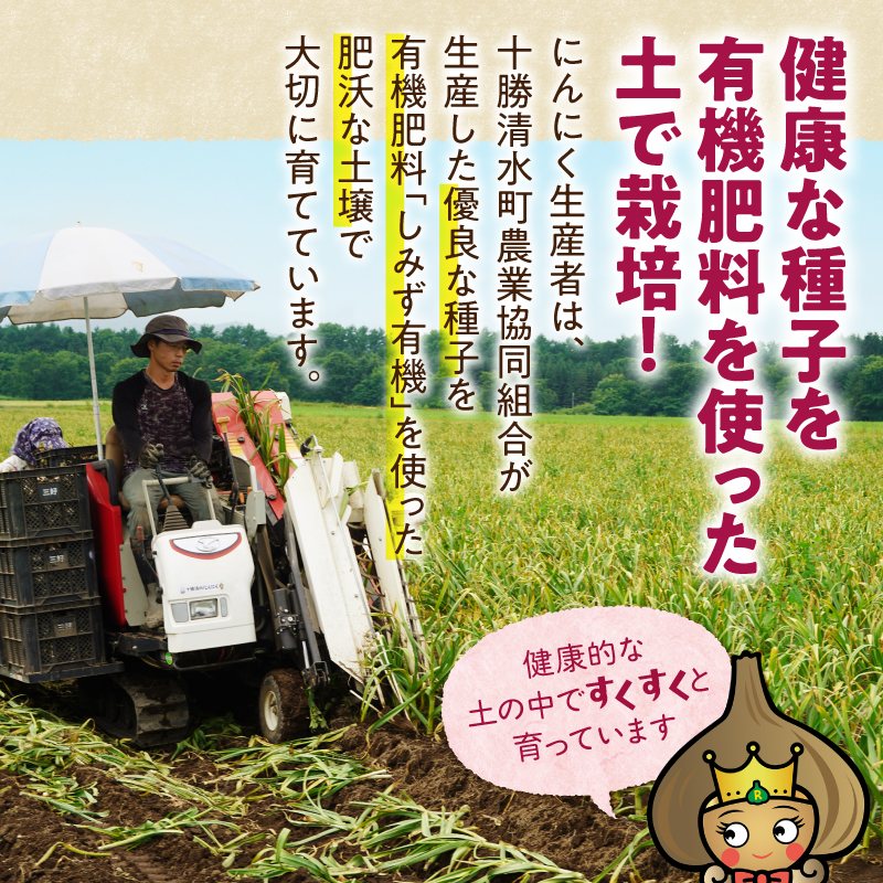 【北海道産】十勝熟成黒にんにく カップ 230g にんにく ニンニク ガーリック 黒にんにく 北海道産にんにく_S021-0029