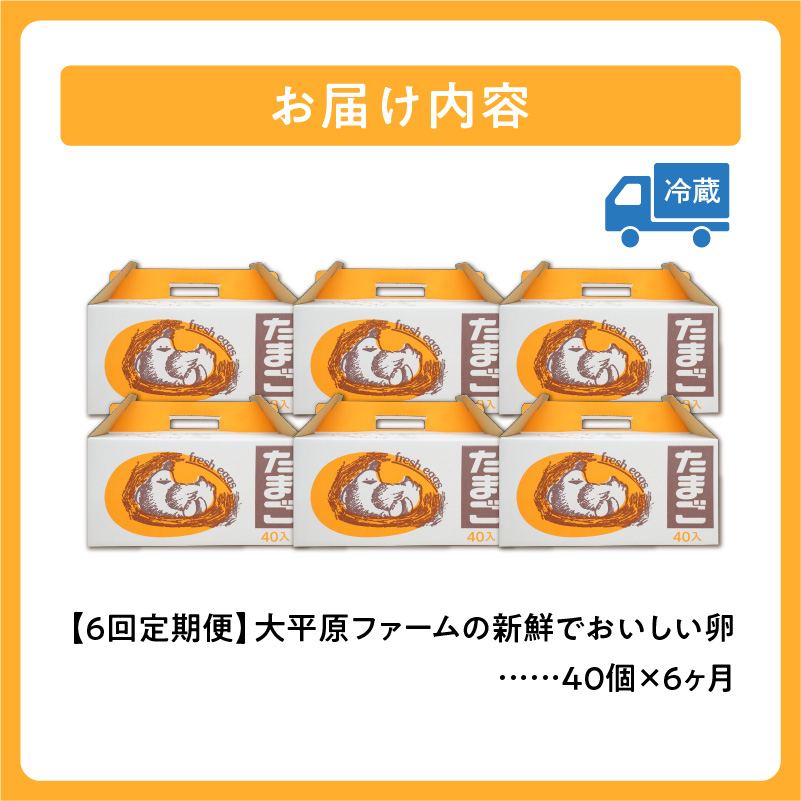 【6回定期便】大平原ファームの新鮮でおいしい卵 計40個(赤卵)×6ヶ月【北海道 清水 卵 赤卵 240個 こだわり卵 卵かけご飯 玉子 タマゴ 卵焼き TKG 温泉卵 オムレツ ゆでたまご 栄養満点 国産 定期便 】