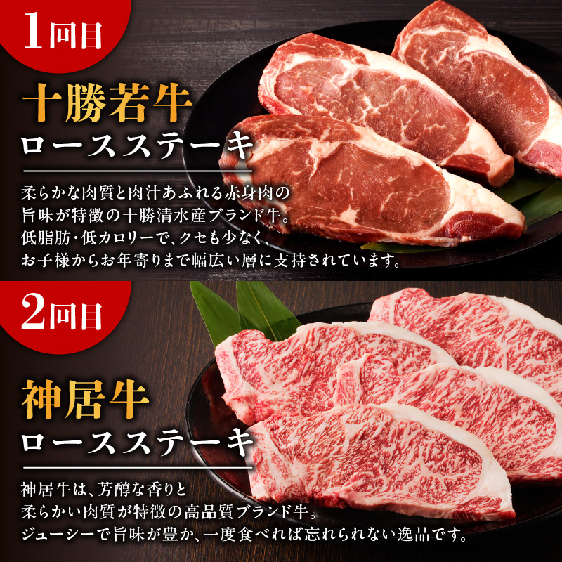十勝若牛・神居牛 の ステーキ 食べ比べ 定期便 【特別な日の食卓に 焼くだけ ステーキ ブランド牛 十勝若牛 神居牛 牛肉 2回 定期便 北海道 清水町】_S999-0016