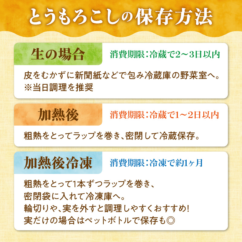 【2026年8月～発送開始！】北海道十勝清水町産 希少品種！ 白いとうもろこし 雪の妖精 サイズ混合 10～12本 【北海道産 2026年 とうもろこし とうきび とうきび コーン 白いとうもろこし 産直 産地直送 清水町 北海道】 