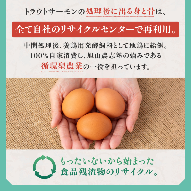 ãã©ãŠããµãŒã¢ã³ã¹ã¢ãŒã¯ 400g ãµã©ãã«ãµã³ããŠã£ãããããªãããã¹ã¿ãŸã§ïŒæŽ»ç𿹿³ããããïŒé éä»é¡ åºèº« å°åã å·å é® ãã æµ·é®® ãã©ãŠã ãµãŒã¢ã³ ã¹ã¢ãŒã¯_S042-0001