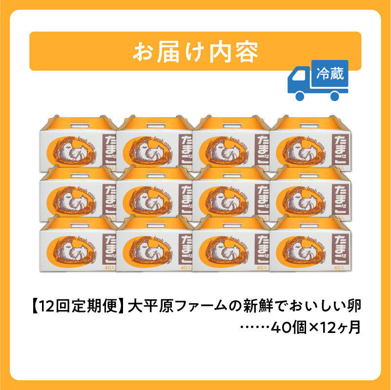 【12回定期便】大平原ファームの新鮮でおいしい卵 計40個(赤卵)×12ヶ月【北海道 清水 卵 480個 赤卵 こだわり卵 卵かけご飯 玉子 タマゴ 卵焼き TKG 温泉卵 オムレツ ゆでたまご 栄養満点 国産 定期便】