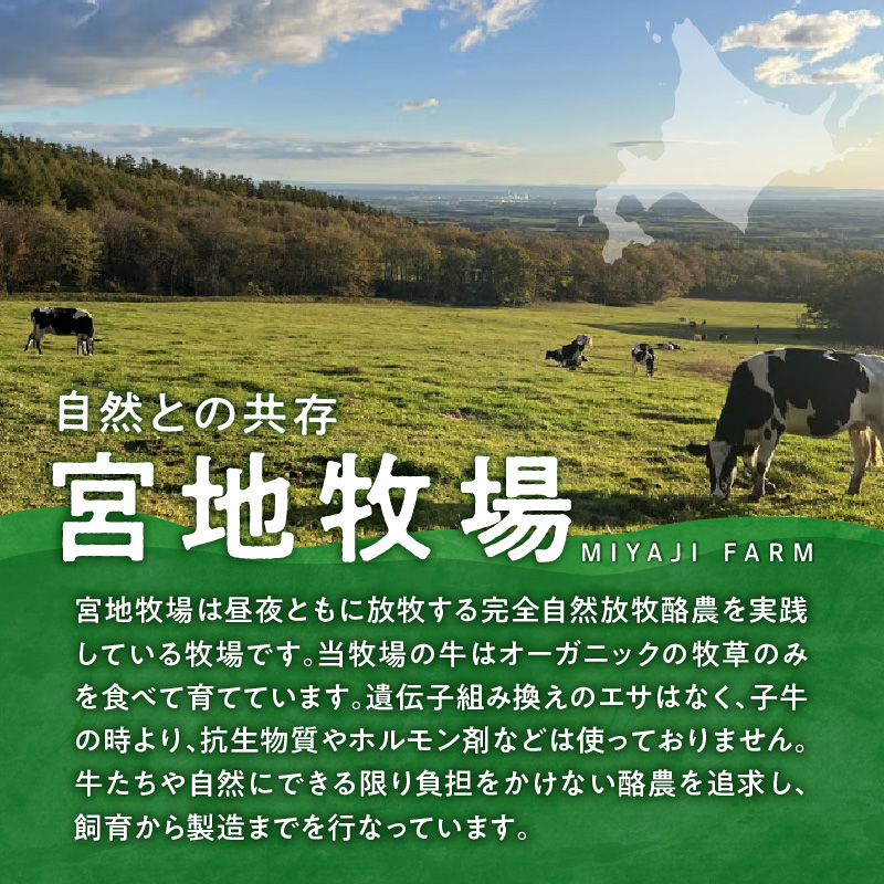 宮地牧場のオーガニックグラスフェッド牛 ハンバーグ 4個セット【宮地牧場 オーガニック グラスフェッド ビーフ 赤身 牛肉 ハンバーグ おかず 牧草だけを食べて育った牛 加工品 贈り物 お取り寄せ ギフト お中元 お歳暮 のし 熨斗 北海道 清水町】