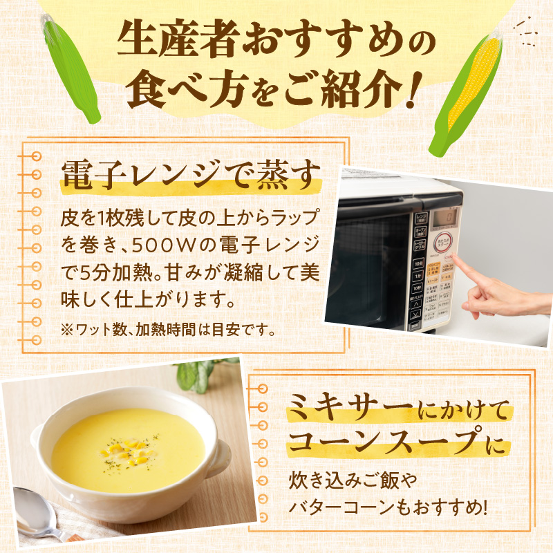 【2026年8月～発送開始！】北海道十勝清水町産 黄金の甘さ ゴールドラッシュ！サイズ混合 10～12本 【北海道産 2026年 とうもろこし とうきび 産直 産地直送 サイズ混合 野菜 家庭用 清水町 北海道】