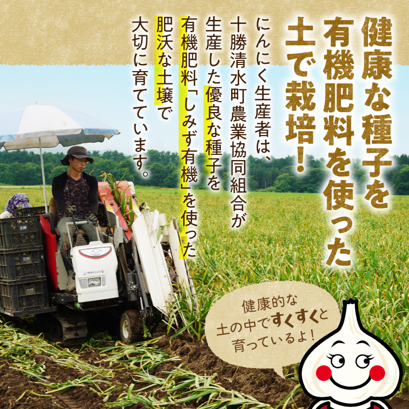 【北海道産】十勝育ちのにんにく バラ4kg にんにく ニンニク ガーリック にんにく 北海道産 にんにく_S021-0025
