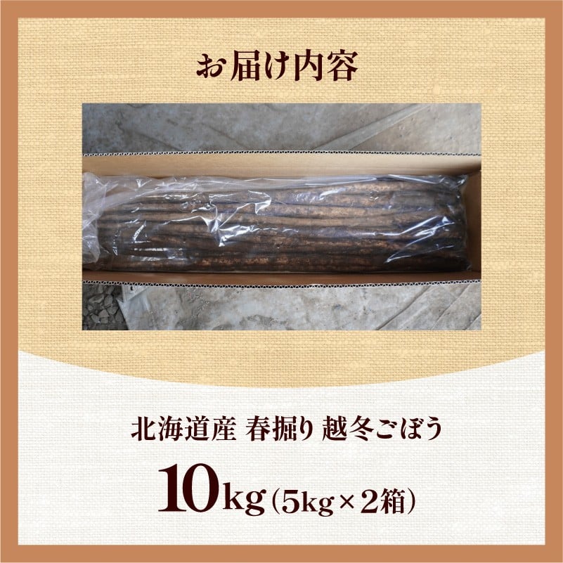 【先行予約】2026年春 北海道十勝清水町産 越冬ごぼう 10kg 雪下甘み 春堀り 土付き 手作業収穫 食物繊維豊富 自然栽培  野菜_S045-0002