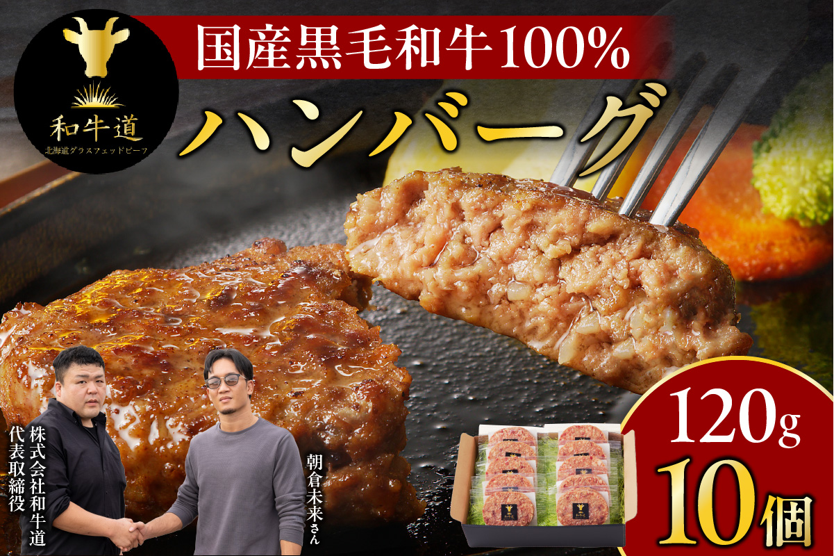 ブランド和牛 「 十勝姫 」の 和牛道 ハンバーグ 120g × 10食 セット 【 牛 牛肉 黒毛和牛 生ハンバーグ 個包装 小分け グラスフェッドビーフ 国産 簡単調理 惣菜 北海道産 冷凍 お取り寄せ 北海道 清水町   】