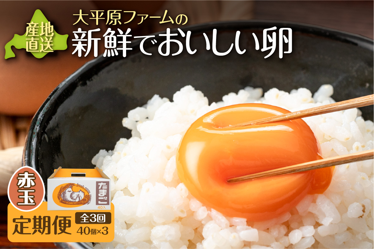 【3回定期便】大平原ファームの新鮮でおいしい卵 計40個(赤卵)×3ヶ月【北海道 清水 卵 120個 赤卵 こだわり卵 赤卵 卵かけご飯 玉子 タマゴ 卵焼き TKG 温泉卵 オムレツ ゆでたまご 栄養満点 国産 定期便  】