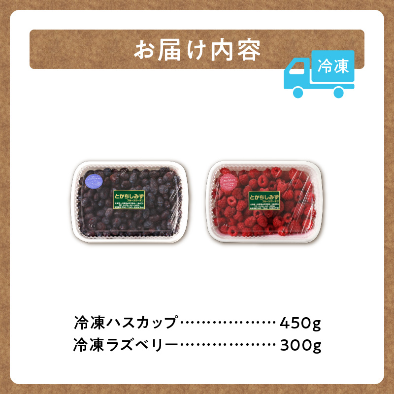 【2025年発送先行予約！】とかちしみず フルーツガーデン の ハスカップ 450g & ラズベリー 300g セット 【 計750g 詰め合わせ フランボワーズ 木苺 生 果物 フルーツ ジャム 甘酸っぱい 冷凍 お取り寄せ 北海道 清水町  】