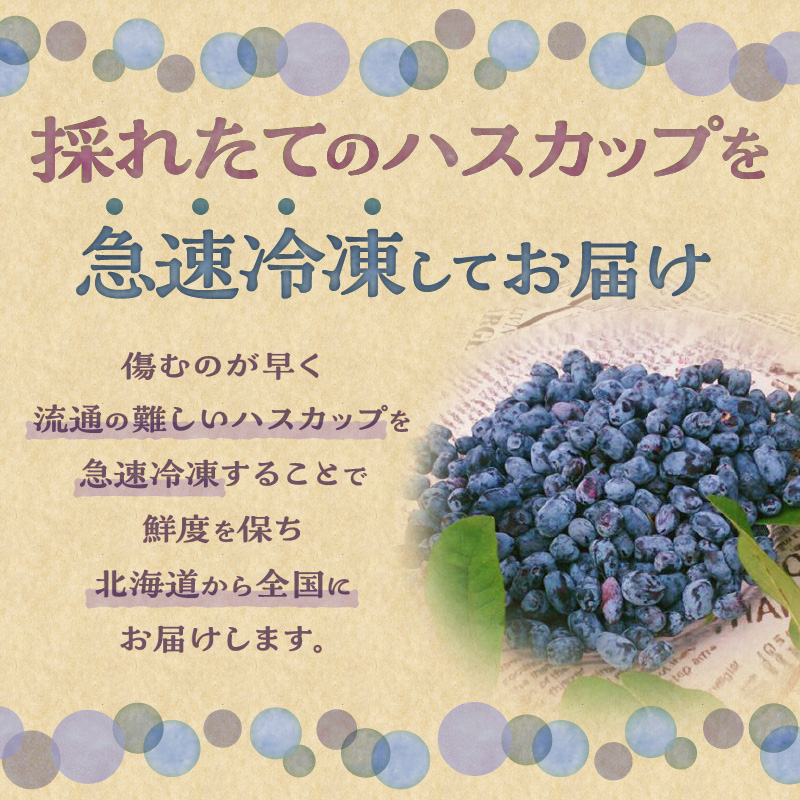 【2025年発送先行予約！】とかちしみず フルーツガーデン の ハスカップ 900g 【 450g × 2 生 果物 ハスカップ 冷凍ハスカップ フルーツ ジャム 甘酸っぱい 冷凍 お取り寄せ 北海道 清水町  】