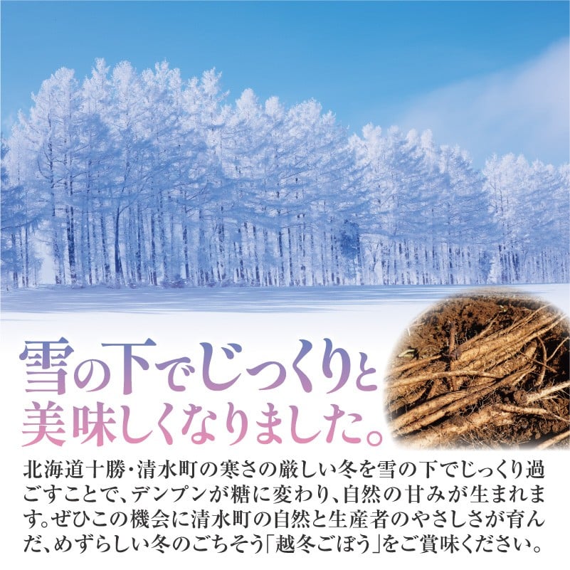 【先行予約】2026年春 北海道十勝清水町産 越冬ごぼう 10kg 雪下甘み 春堀り 土付き 手作業収穫 食物繊維豊富 自然栽培  野菜_S045-0002