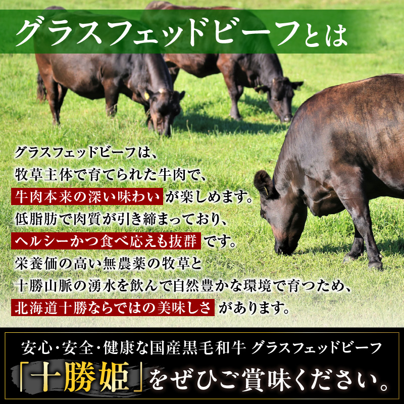 ブランド和牛 「 十勝姫 」の 和牛道 ハンバーグ 120g × 10食 セット 【 牛 牛肉 黒毛和牛 生ハンバーグ 個包装 小分け グラスフェッドビーフ 国産 簡単調理 惣菜 北海道産 冷凍 お取り寄せ 北海道 清水町   】