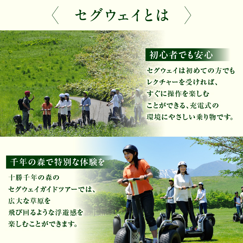 十勝千年の森 入場券＋セグウェイツアー券 1名分【北海道 清水町 自然 十勝千年の森 十勝毎日新聞社 ガーデン 入場券 セグウェイ セグウェイ社公認 ツアー レジャー おでかけ】