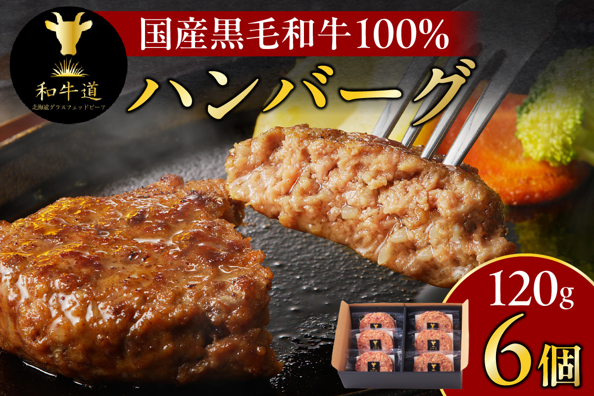 ブランド和牛 「 十勝姫 」の 和牛道 ハンバーグ 120g × 6食 セット 【 牛 牛肉 黒毛和牛 生ハンバーグ 個包装 小分け グラスフェッドビーフ 国産 簡単調理 惣菜 北海道産 冷凍 お取り寄せ 北海道 清水町   】