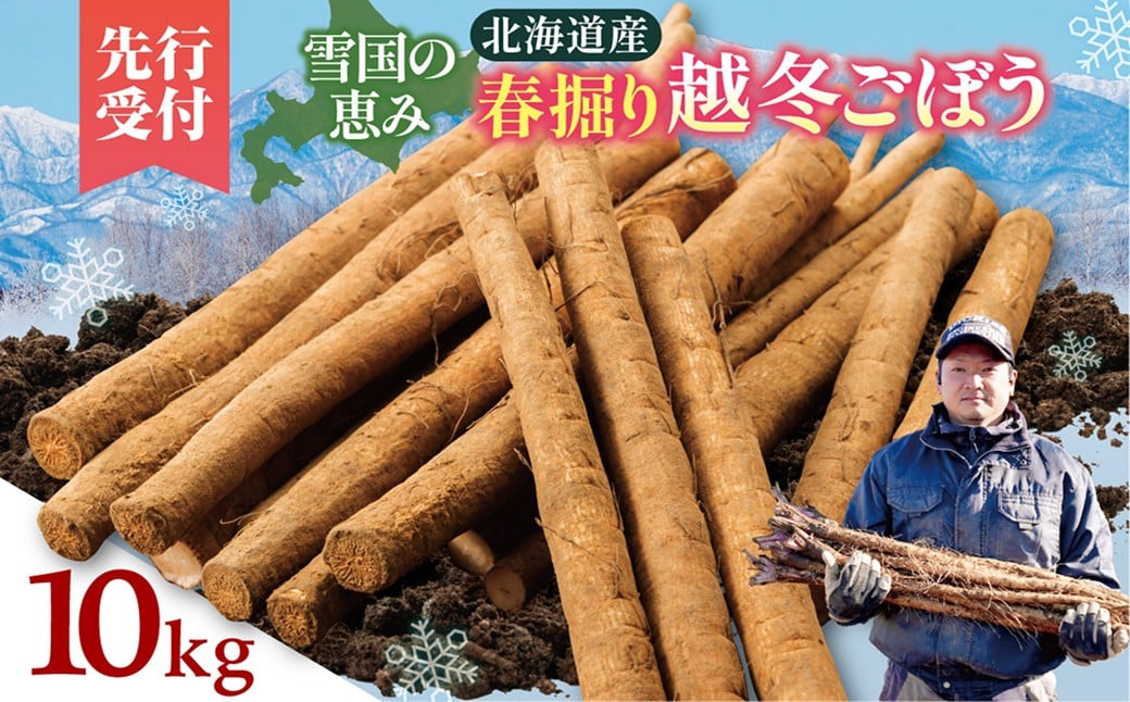 【先行予約】2026年春 北海道十勝清水町産 越冬ごぼう 10kg 雪下甘み 春堀り 土付き 手作業収穫 食物繊維豊富 自然栽培  野菜_S045-0002