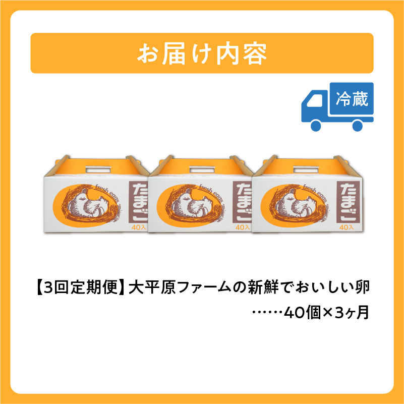 【3回定期便】大平原ファームの新鮮でおいしい卵 計40個(赤卵)×3ヶ月【北海道 清水 卵 120個 赤卵 こだわり卵 赤卵 卵かけご飯 玉子 タマゴ 卵焼き TKG 温泉卵 オムレツ ゆでたまご 栄養満点 国産 定期便  】