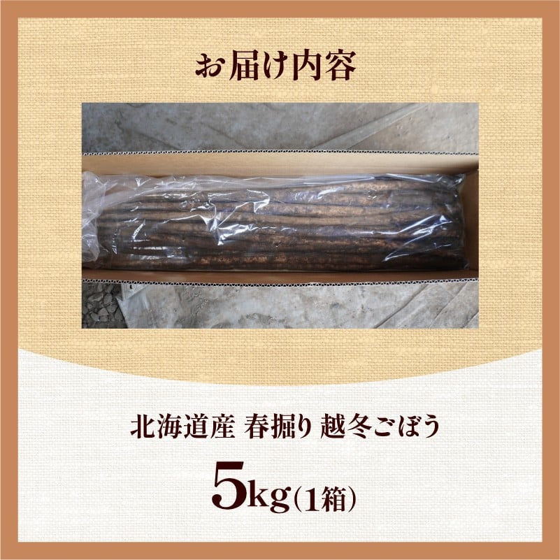 ãå
è¡äºçŽã2026å¹Žæ¥ åæµ·éååæž
æ°Žçºç£ è¶å¬ããŒã 5kg éªäžçã¿ æ¥å ã åä»ã æäœæ¥åç©« é£ç©ç¹ç¶è±å¯ èªç¶æ œå¹ éè_S045-0001