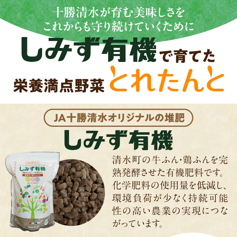 【北海道産】十勝熟成黒にんにく 500g×1 にんにく ニンニク ガーリック 黒にんにく 北海道産にんにく_S021-0027