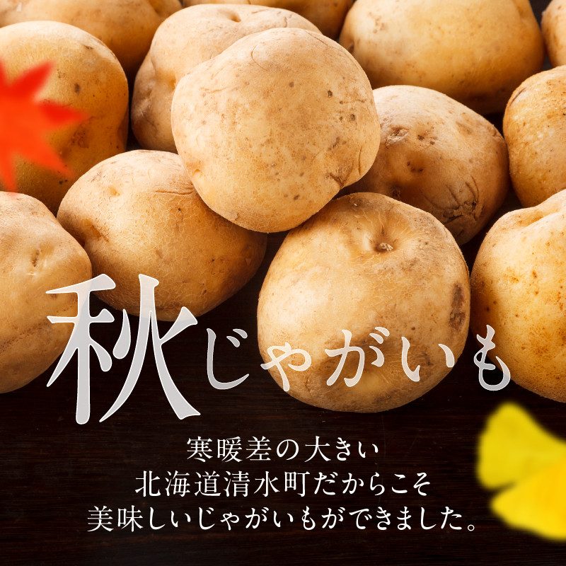 ä»ãæ¬ïŒããå±ãïŒãã¯ãã¯é£æãé
åã®ãç·çµããã ãã¯ãã¯ïŒãã£ãšããªãããïŒ ãåæµ·éç£ ç·çµ ãã ããããã ç·çµãã çŽ5kg ããããã ãã è ç£å°çŽé ç§ã