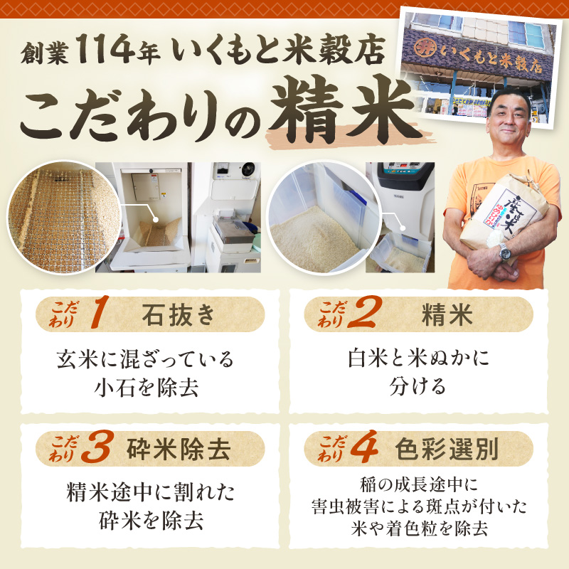 【12回定期便】精米したてを毎月お届け！北海道産 ゆめぴりか 10kg 【精米 白米 計120kg いつもの食卓に 新鮮なお米をお届け】 _S036-0028