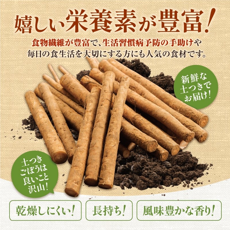 【先行予約】2026年春 北海道十勝清水町産 越冬ごぼう 10kg 雪下甘み 春堀り 土付き 手作業収穫 食物繊維豊富 自然栽培  野菜_S045-0002