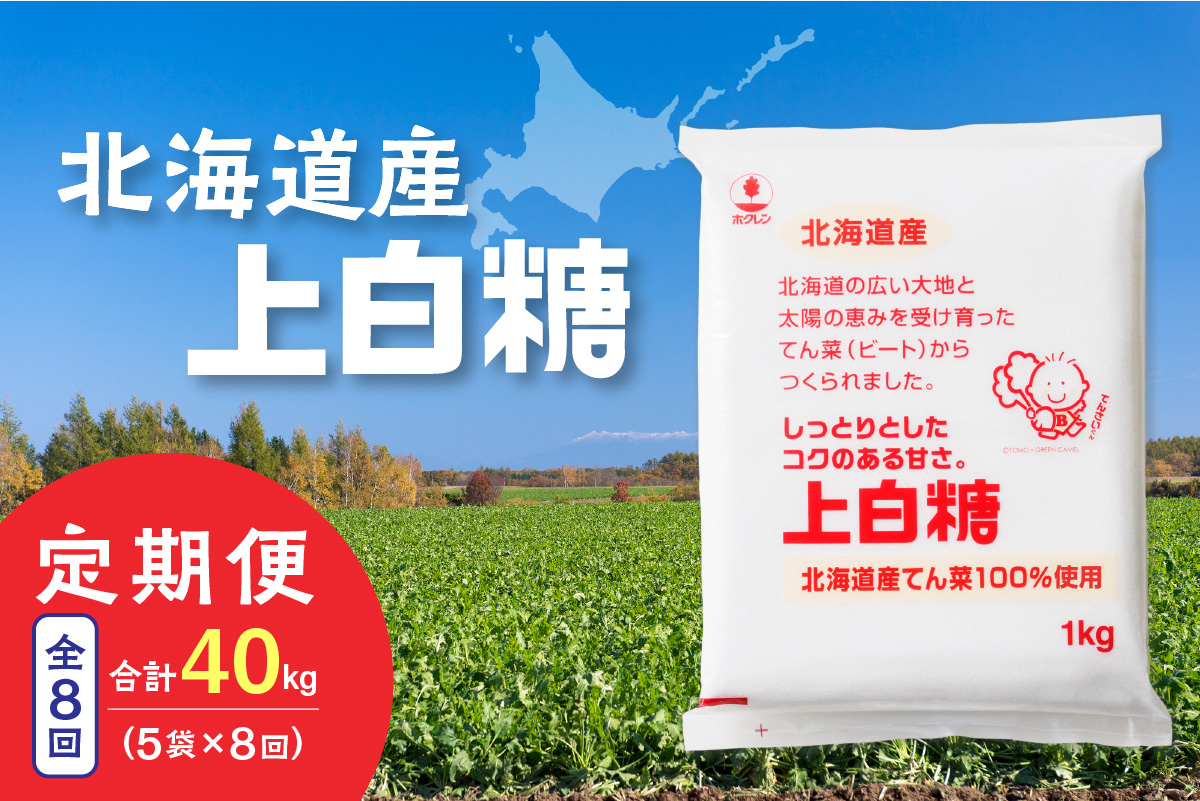 【8回定期便】ホクレンの上白糖1kg×5袋【 定期便 てん菜  北海道産 砂糖 お菓子 料理 調味料 ビート お取り寄せ 北海道 清水町  】