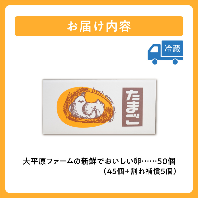 大平原ファームの新鮮でおいしい卵 計50個(白卵)【 北海道 清水 卵 50個 こだわり卵 卵かけご飯 玉子 タマゴ 卵焼き TKG 温泉卵 オムレツ ゆでたまご 栄養満点  国産  】