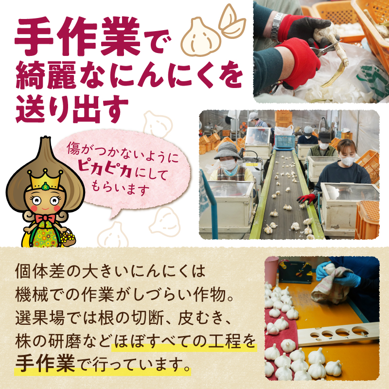 【北海道産】十勝熟成黒にんにく 500g×1 にんにく ニンニク ガーリック 黒にんにく 北海道産にんにく_S021-0027