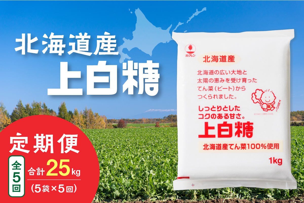 【隔月5回定期便】ホクレンの上白糖1kg×5袋【 定期便 てん菜  北海道産 砂糖 お菓子 料理 調味料 ビート お取り寄せ 北海道 清水町  】