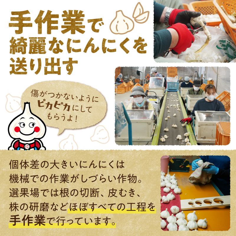 【北海道産】十勝育ちのにんにく バラ3kg にんにく ニンニク ガーリック にんにく 北海道産 にんにく_S021-0024