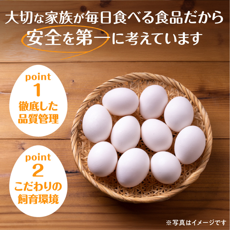 大平原ファームの新鮮でおいしい卵 計40個(白卵)【 北海道 清水 卵 40個 こだわり卵 卵かけご飯 玉子 タマゴ 卵焼き TKG 温泉卵 オムレツ ゆでたまご 栄養満点  国産  】