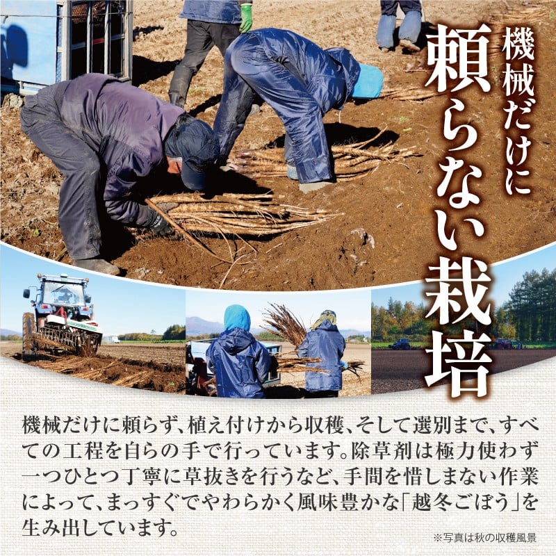 【先行予約】2026年秋 北海道十勝清水町産 秋堀りごぼう 5kg 土付き 手作業収穫 食物繊維豊富 新鮮 野菜 秋の味覚_S045-0003