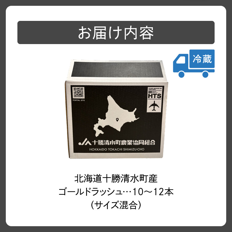【2026年8月～発送開始！】北海道十勝清水町産 黄金の甘さ ゴールドラッシュ！サイズ混合 10～12本 【北海道産 2026年 とうもろこし とうきび 産直 産地直送 サイズ混合 野菜 家庭用 清水町 北海道】