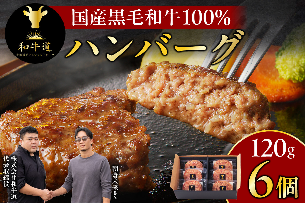 ブランド和牛 「 十勝姫 」の 和牛道 ハンバーグ 120g × 6食 セット 【 牛 牛肉 黒毛和牛 生ハンバーグ 個包装 小分け グラスフェッドビーフ 国産 簡単調理 惣菜 北海道産 冷凍 お取り寄せ 北海道 清水町   】