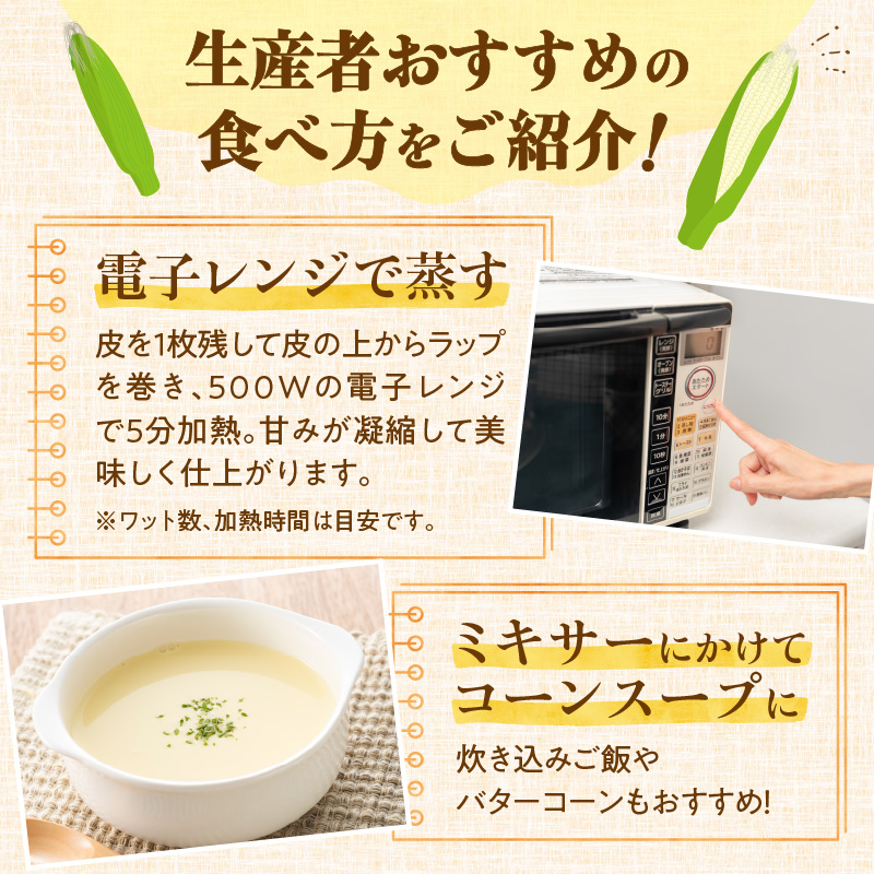 【2026年8月～発送開始！】北海道十勝清水町産 希少品種！ 白いとうもろこし 雪の妖精 サイズ混合 10～12本 【北海道産 2026年 とうもろこし とうきび とうきび コーン 白いとうもろこし 産直 産地直送 清水町 北海道】 