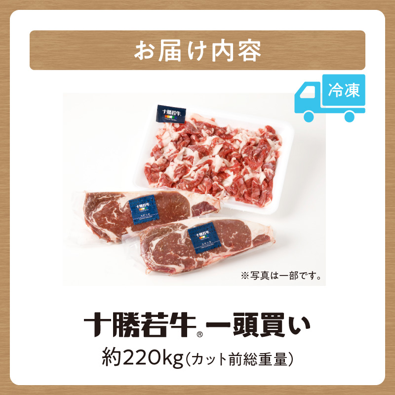 ååæž
æ°Žçºç£ ãã©ã³ãç ååè¥ç1é è²·ãïŒç·ééçŽ220ãïŒå®æäŸ¿ éžã¹ãã«ããã»é
é _S003-0031