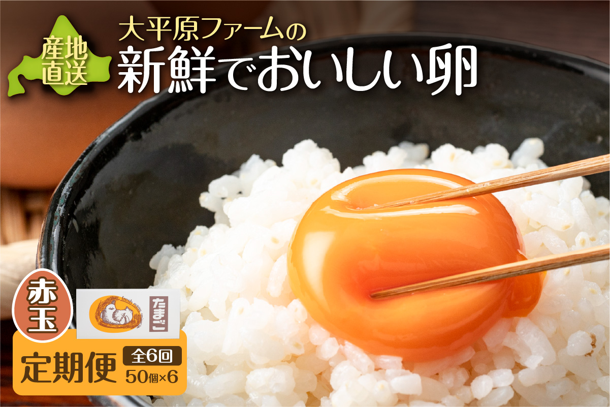 【6回定期便】大平原ファームの新鮮でおいしい卵 計50個(赤卵)×6ヶ月【北海道 清水 卵 300個 赤卵 こだわり卵 卵かけご飯 玉子 タマゴ 卵焼き TKG 温泉卵 オムレツ ゆでたまご 栄養満点 国産 定期便】