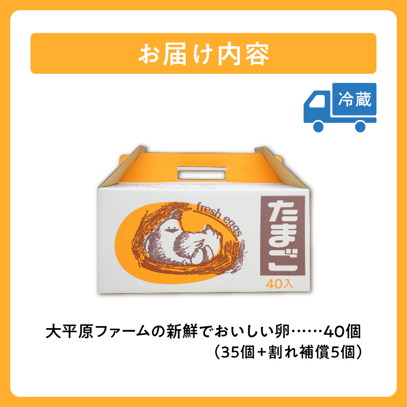 大平原ファームの新鮮でおいしい卵(赤卵) 40個【 北海道 清水 赤卵 卵 40個 こだわり卵 卵かけご飯 玉子 タマゴ 卵焼き TKG 温泉卵 オムレツ ゆでたまご 栄養満点 国産  】