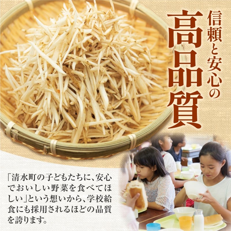 【先行予約】2026年春 北海道十勝清水町産 越冬ごぼう 10kg 雪下甘み 春堀り 土付き 手作業収穫 食物繊維豊富 自然栽培  野菜_S045-0002