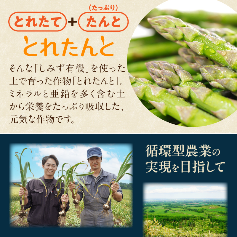 北海道 十勝 熟成 黒にんにく(6玉入) × 2箱 【 十勝清水町産 にんにく ニンニク 野菜 甘み フルーティー ガーリック 薬味 お取り寄せ 清水町  】