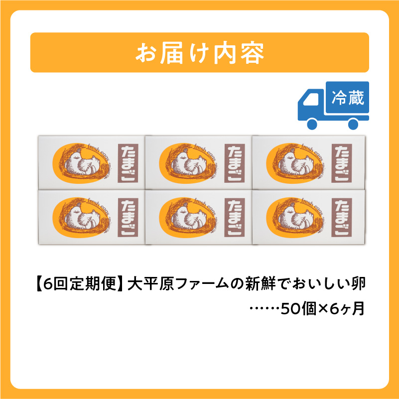 【6回定期便】大平原ファームの新鮮でおいしい卵 計50個(白卵)×6ヶ月【 北海道 清水 卵 300個 こだわり卵 卵かけご飯 玉子 タマゴ 卵焼き TKG 温泉卵 オムレツ ゆでたまご 栄養満点  国産 定期便 】