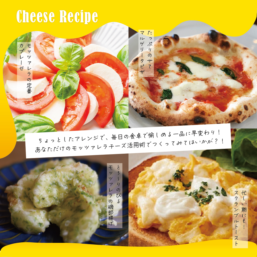 【6ヵ月定期便】明治北海道十勝チーズ 生モッツァレラ６個 セット 計6回 me003-070-t6c
／おつまみ 冷蔵便 詰め合わせ チーズ cheese CHEESE 乳製品 生乳 凝縮 ミルク 新鮮 パック お取り寄せ サラダ カプレーゼ ピザ トースト