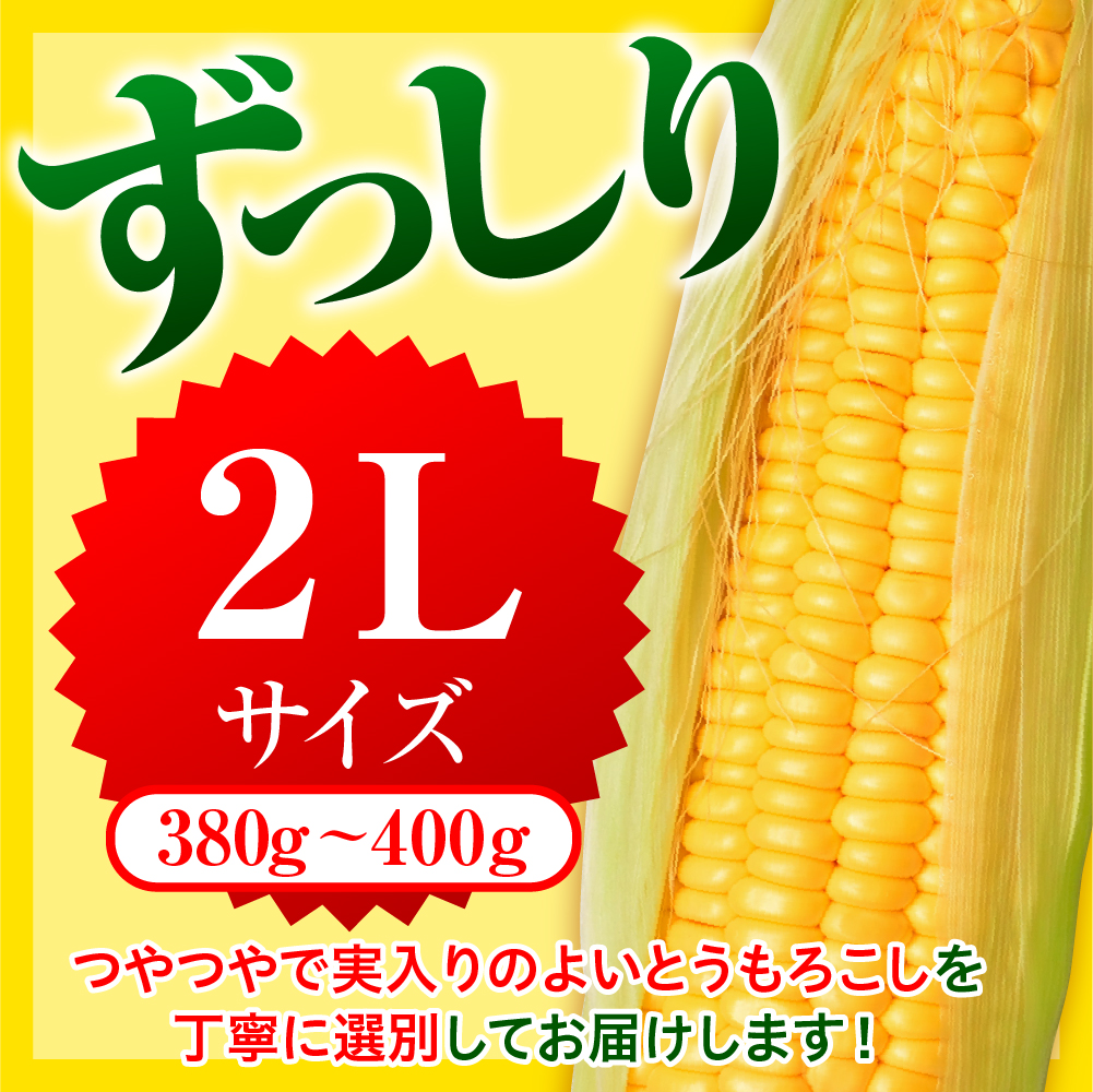 ãå
è¡åä»ãã2026幎8æäžæ¬ïœ8æäžæ¬é é
éãåæµ·éååèœå®€çº ãšããããã ãŽãŒã«ãã©ãã·ã¥ 2Lãµã€ãº 20æ¬ã»ãã me078-010c-26